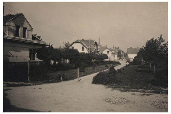 park u školy 1.-2. ročník